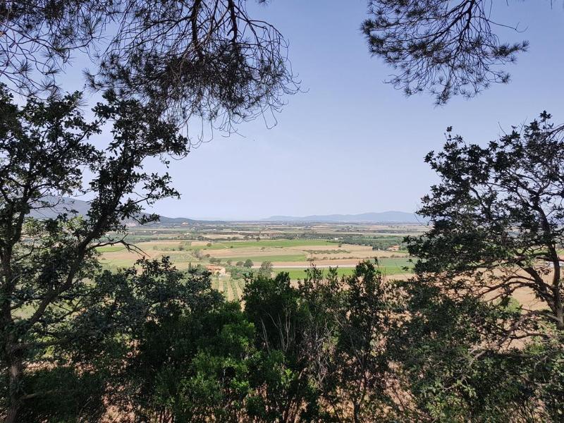 فيلا Poggio Alto Agrioturismo غروسيتو المظهر الخارجي الصورة