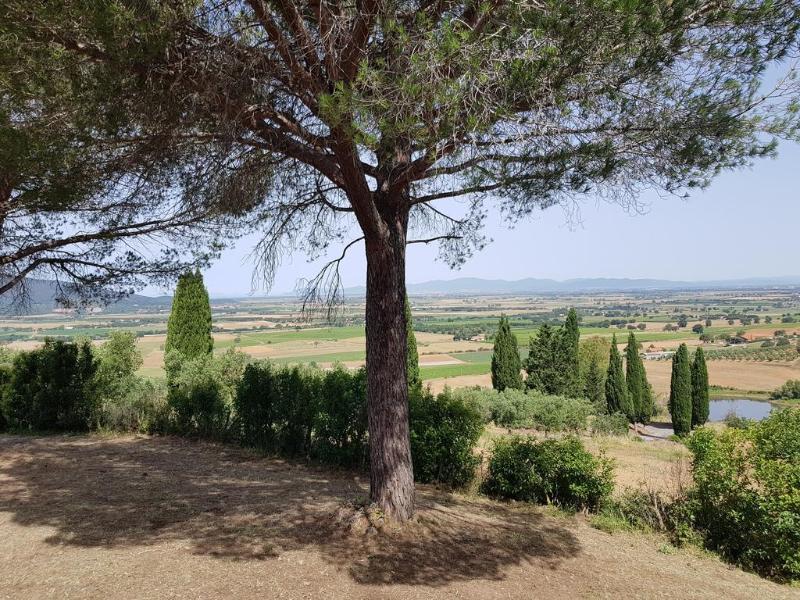 فيلا Poggio Alto Agrioturismo غروسيتو المظهر الخارجي الصورة